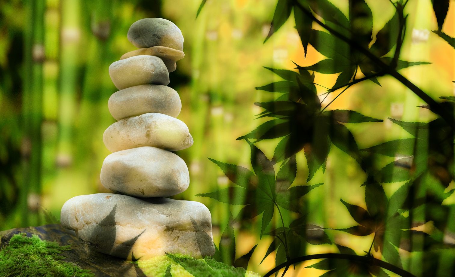 13: Learn to Balance the Qualities of Nature (release on June 28 ...